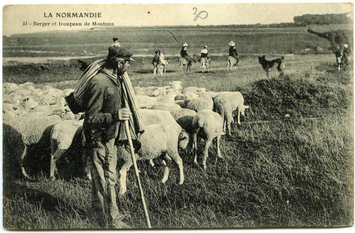 Divers. La Normandie. - Berger et troupeau de Moutons.