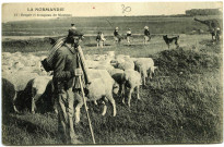 Divers. La Normandie. - Berger et troupeau de Moutons.