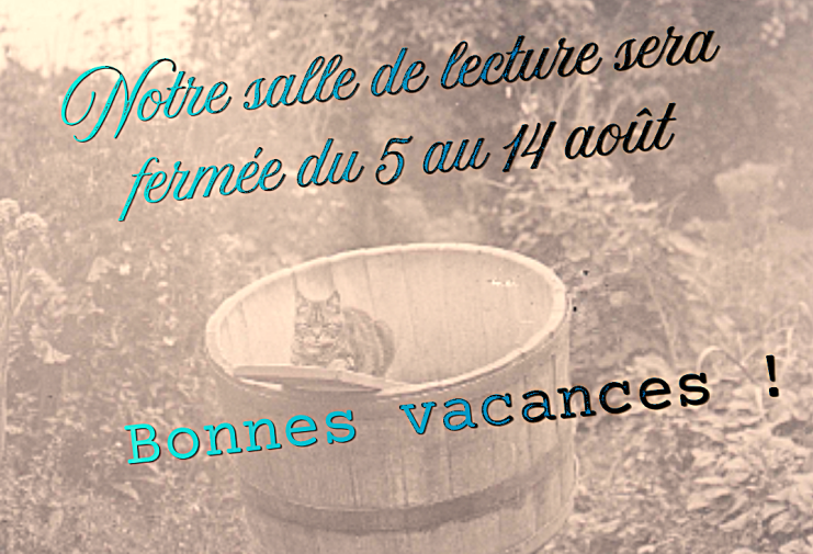 Photographie, chat se reposant au bord d'un baquet. fonds Bretocq