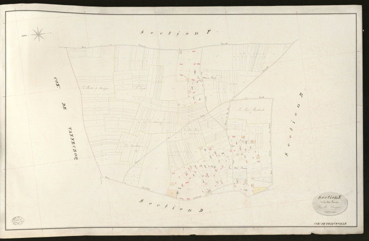 Triqueville. Section E _ de la Côte Baron _ Feuille Unique