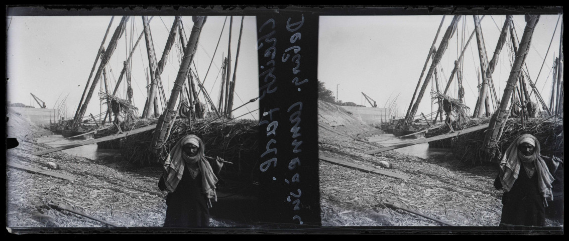 Débarquement de cannes à sucre El-Cheikh-Fadl (Égypte).