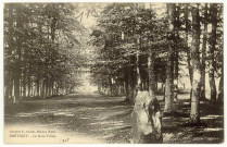 Brétigny. Le Grès-Vallée.