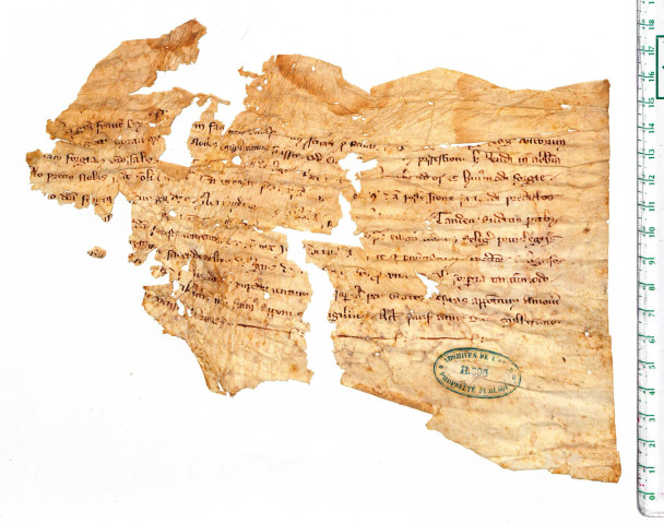 Fragment mutilé d'une charte de Philippe le Bel, confirmant le « privilège de faire faire tout le charbon nécessaire pour la forge de l'abbaye. »