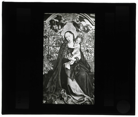 Musée de Colmar (Haut-Rhin), tableau de Martin Schongauer « La Vierge au buisson de roses ».