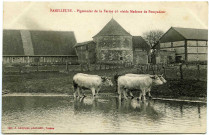 Panilleuse. Pigeonnier de la Ferme où résida Madame de Pompadour.