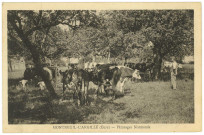 Montreuil-l'Argillé. Pâturage Normand.