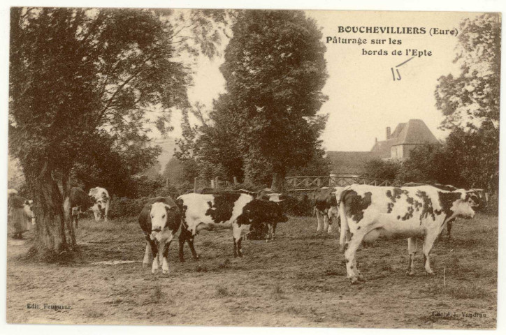 Bouchevilliers. Pâturage sur les Bords de l'Epte.