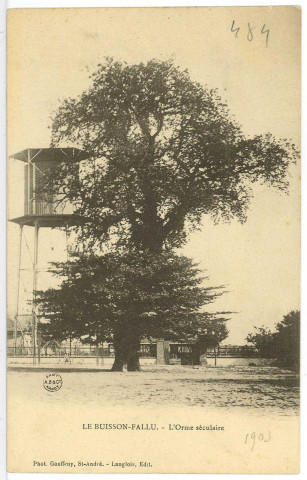 Quessigny. Le Buisson-Fallu. - L'Orme séculaire.