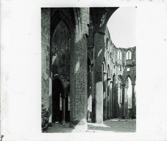 Ruines de l'abbaye de d'Hambye à Percy (Manche).