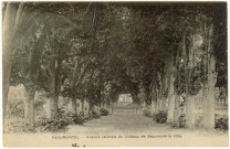 Beaumontel. Avenue latérale du Château de Beaumont-la-Ville.