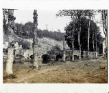 Pont aux alentours des ruines de l'abbaye d'Hambye à Percy (Manche).