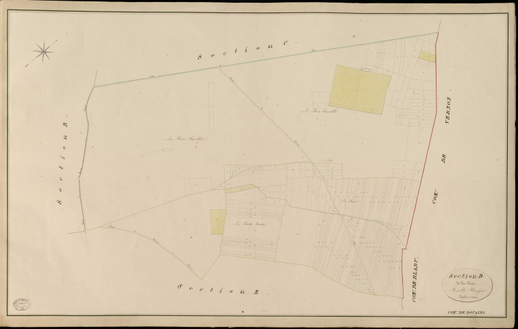 Douains. Section D _ de la Rose _ Feuille Unique