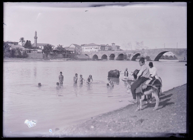 Enfants et buffles au bain près du pont de Justinien sur le Seyhan à Adana (Turquie).