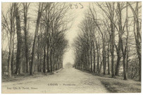 Gisors. Promenades.