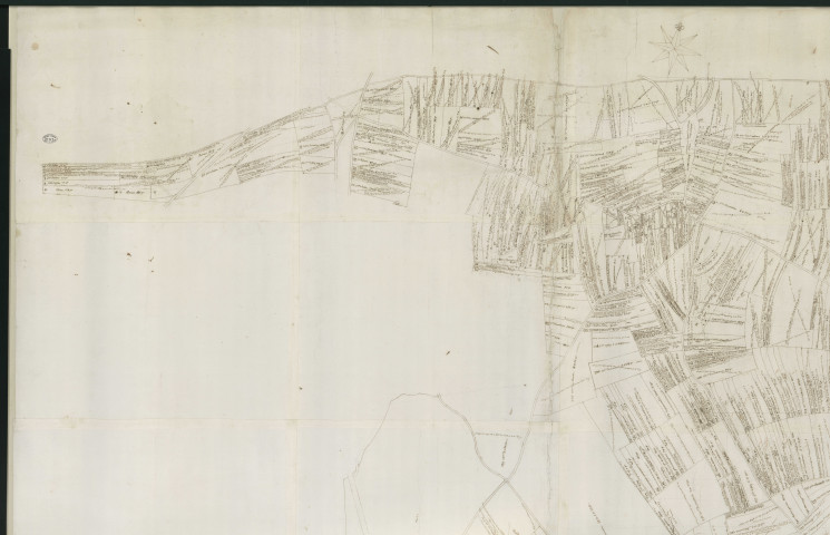 Essarts (Les) - Plan de la seigneurie d'Arpentigny. *