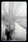 Ruisseau traversant la campagne normande.