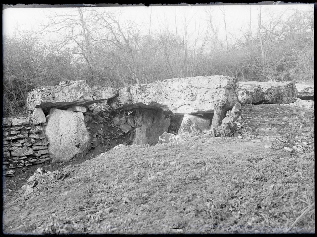 L'allée couverte mégalithique de Dampsmesnil (Eure)