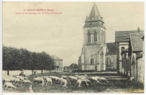 Saint-Pierre-d'Autils. Moutons au pâturage sur la ¨Place de l'Eglise.