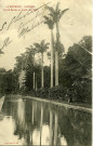 LA RÉUNION. - St-DENIS Grand Bassin au Jardin de l'État