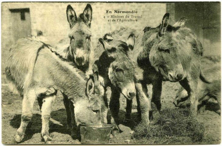 Divers. En Normandie. - Ministres du Travail et de l'Agriculture.