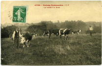 Divers. Scènes Normandes. - Les Vaches à la ferme.