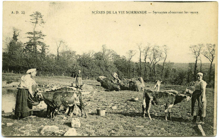 Divers. Scènes de la Vie Normande. - Servantes abreuvant les veaux.