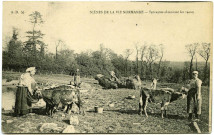 Divers. Scènes de la Vie Normande. - Servantes abreuvant les veaux.