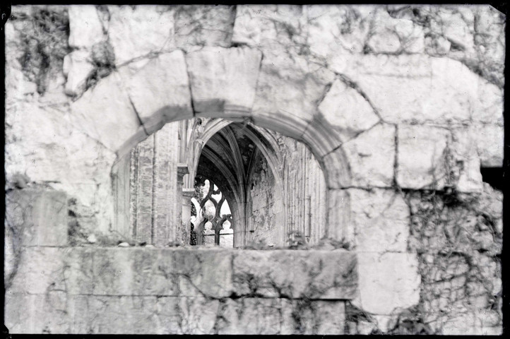 Ruines de l'abbaye de Valmont (Seine-Maritime).