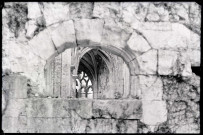 Ruines de l'abbaye de Valmont (Seine-Maritime).