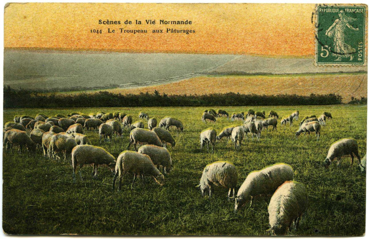 Divers. Scènes de la Vie Normande. - Le Troupeau aux Pâturages.