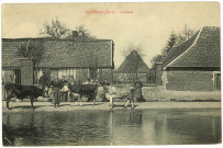 Mézières-en-Vexin. La Mare.