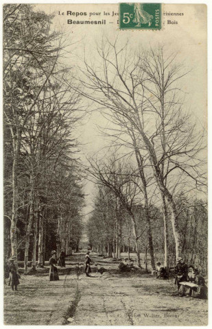 Beaumesnil. Le Repos pour les Jeunes Ouvrières Parisiennes - Les Bois.