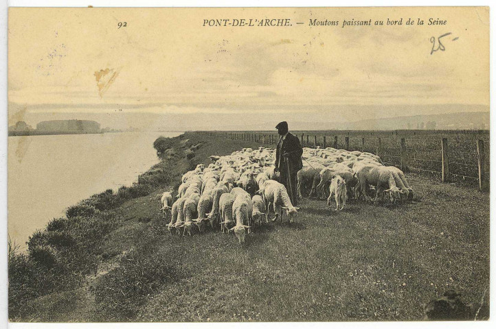 Pont-de-l'Arche. Moutons paissant au bord de la Seine.
