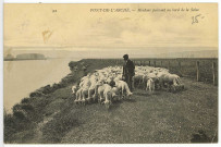 Pont-de-l'Arche. Moutons paissant au bord de la Seine.