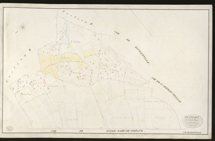 Triqueville. Section C _ de la Côte des hayes _ Feuille Unique