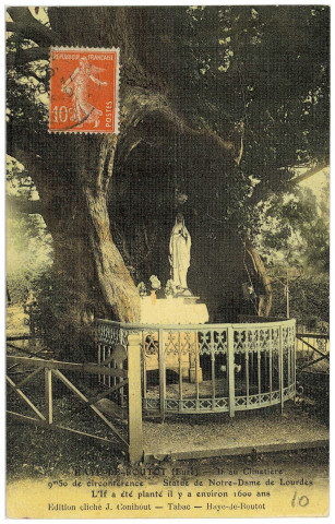 Haye-de-Routot (La). If au Cimetière. 9m50 de circonférence - Statue de Notre-Dame de Lourdes. L'If a été planté il y a environ 1600 ans.