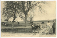 Saint-Etienne-du-Vauvray. Pâturages.