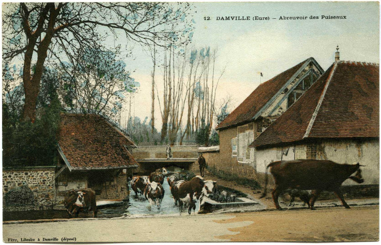Damville. Abreuvoir des Puiseaux.
