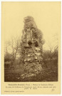Fatouville-Grestain. Ruines de l'ancienne Abbaye - La Mère Guillaume le Conquérant serait enterrée, dit-on, sous cette partie de ruines.