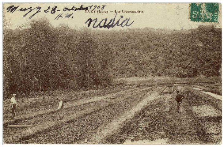 Muzy. Les Cressonnières.