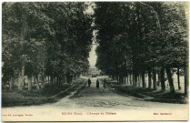Muids. L'Avenue du Château.