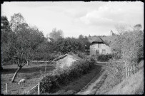 Ferme et vue sur le clocher de Touffreville (Eure).