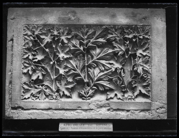 Panneau d'ornementation de la cathédrale de Reims (Marne).