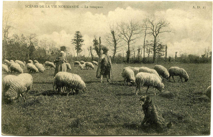 Divers. Scènes de la Vie Normande. - Le troupeau.