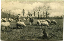 Divers. Scènes de la Vie Normande. - Le troupeau.