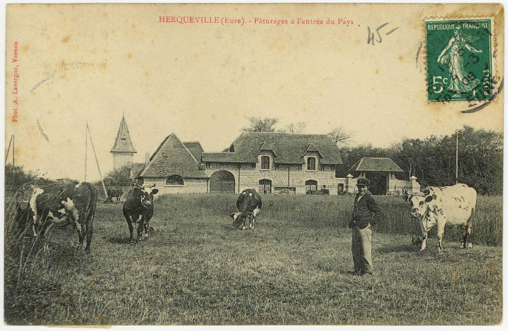 Herqueville. Pâturages à l'entrée du Pays.