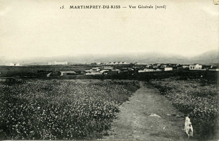 MARTIMPREY-DU-KISS - Vue Générale (nord)