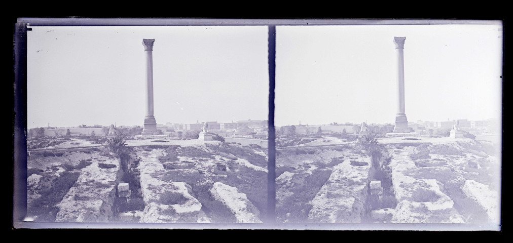 Colonne de Pompée et les Sphinx au Caire (Égypte).