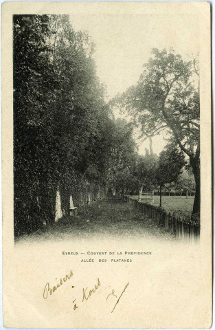 Evreux-Ville. Couvent de la Providence - Allée des Platanes.