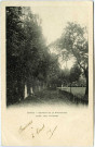 Evreux-Ville. Couvent de la Providence - Allée des Platanes.